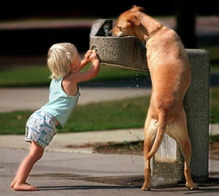 Kindness-dog-at-fountain